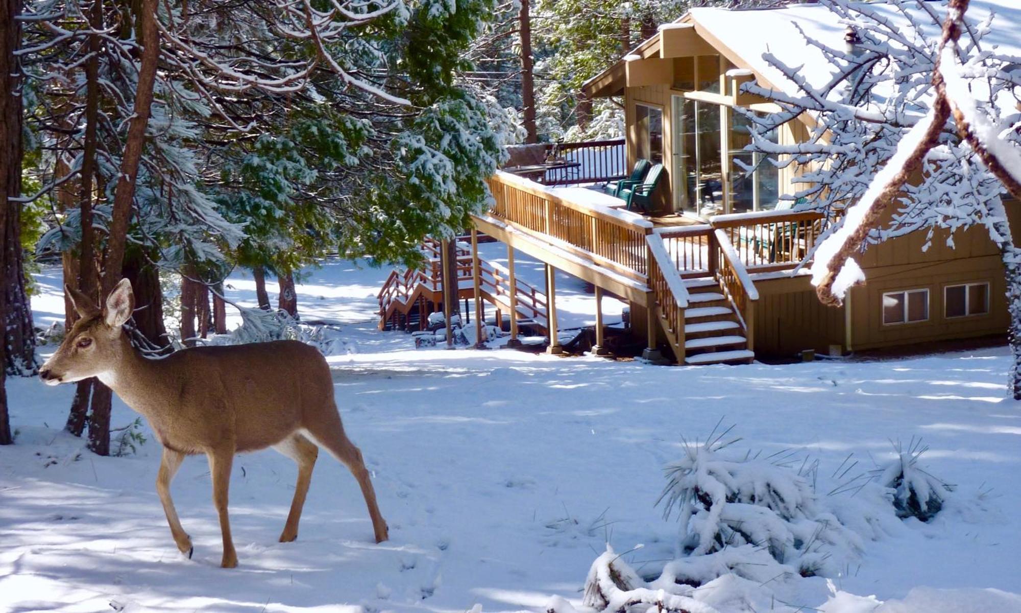 Arrow Lodge Wawona Exterior photo